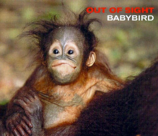 Babybird - Out Of Sight - CD, Single