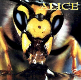 Alice - Alice - CD