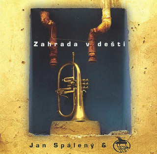 Jan Spálený & ASPM - Zahrada V Dešti - CD