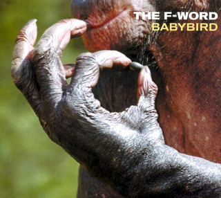 Babybird - The F-Word - CD, Single