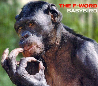 Babybird - The F-Word - CD, Single