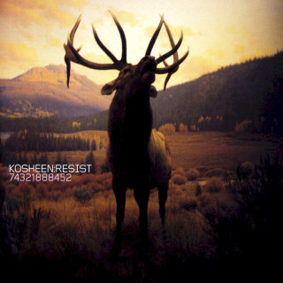 Kosheen - Resist - CD