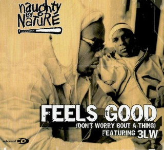 Naughty By Nature Featuring 3LW - Feels Good (Don't Worry Bout A Thing) - CD, Single