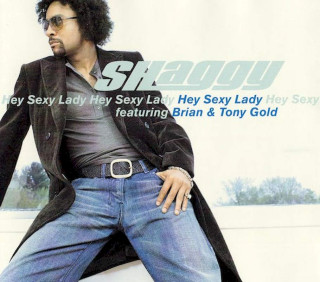 Shaggy Featuring Brian & Tony Gold - Hey Sexy Lady - CD, Maxi