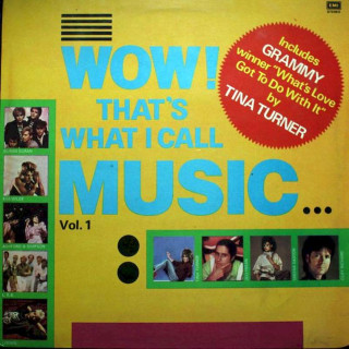 Various - Wow! That's What I Call Music...(Vol.1) - LP