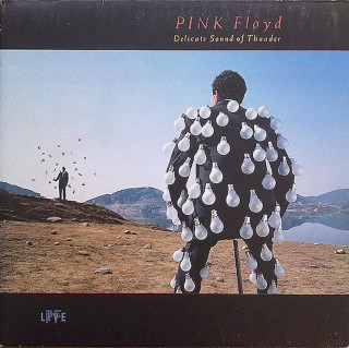 Pink Floyd - Delicate Sound Of Thunder (PF Live) - LP