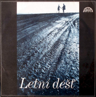 Ronald Binge & His Orchestra - Letní Déšť - LP