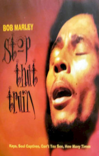Bob Marley - Stop That Train - MC
