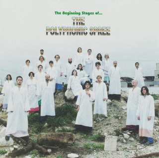 The Polyphonic Spree - The Beginning Stages Of... - CD