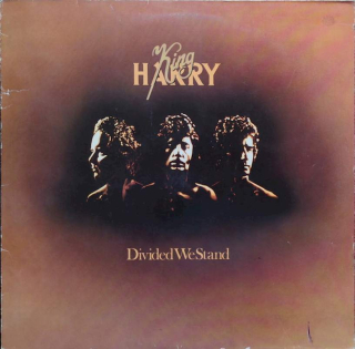 King Harry - Divided We Stand - LP / Vinyl