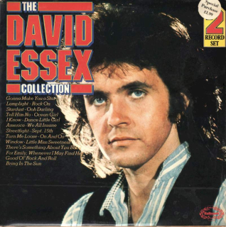 David Essex - The David Essex Collection - LP / Vinyl