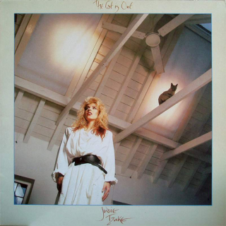 Judie Tzuke - The Cat Is Out - LP / Vinyl