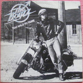 The Boyzz - Too Wild To Tame - LP / Vinyl