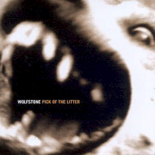 Wolfstone - Pick Of The Litter: The Best Of Wolfstone (1991-1996) - CD
