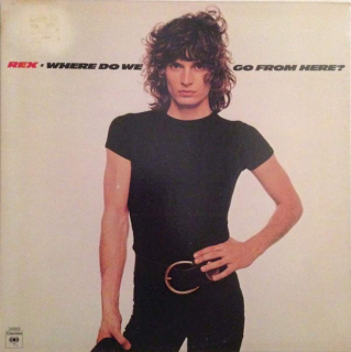 Rex - Where Do We Go From Here? - LP / Vinyl