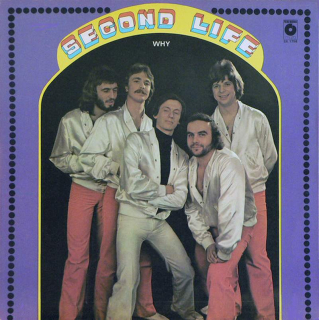 Second Life - Why - LP / Vinyl