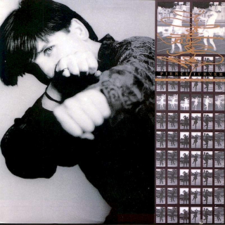 Pierce Turner - The Sky And The Ground - LP / Vinyl