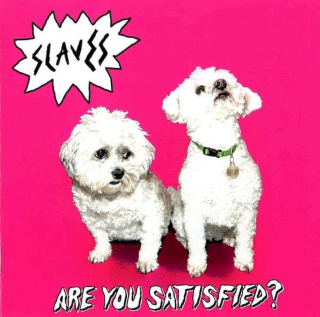Slaves - Are You Satisfied? - CD