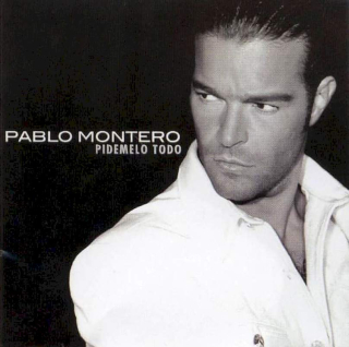 Pablo Montero - Pidemelo Todo - CD