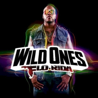 Flo Rida - Wild Ones - CD
