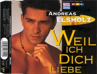 Andreas Elsholz - Weil Ich Dich Liebe - CD