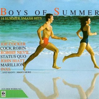 Various - Boys Of Summer - 14 Summer Smash Hits  - CD