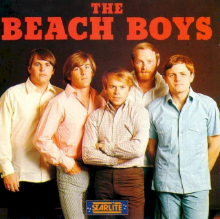 The Beach Boys - The Beach Boys - CD