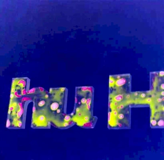 Various - hu H (CD 9) - CD