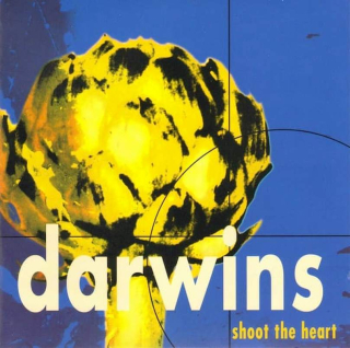 Darwins - Shoot The Heart - CD