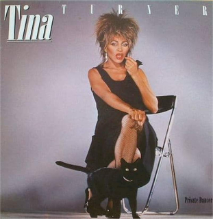 Tina Turner - Private Dancer - LP / vinyl
