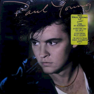 Paul Young - The Secret Of Association - LP / vinyl