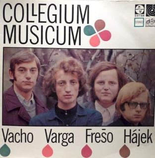 Collegium Musicum - Collegium Musicum - LP / vinyl