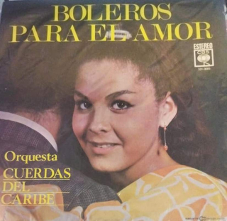 Orquesta Cuerdas Del Caribe - Boleros Para El Amor - LP / vinyl