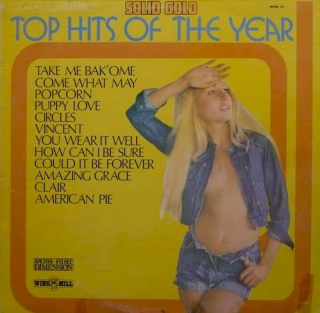 Unknown Artist - Solid Gold Top Hits Of The Year - LP / vinyl