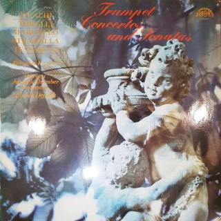 Various - Trumpet Concertos & Sonatas - LP / vinyl