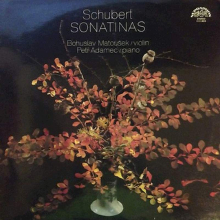 Franz Schubert - Sonatinas For Violin and Piano, Op. 137 - LP / Vinyl