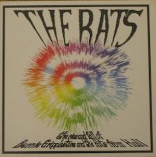 The Rats - The Rise And Fall Of Bernie Gripplestone And The Rats From Hull - LP / Vinyl