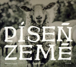 Marian Friedl, RukyNaDudy, Grunik - Píseň Země - CD