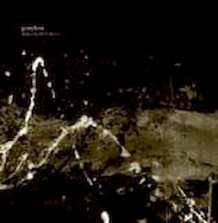 Greyline - Shaping Directions - CD