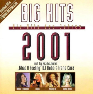 Various - Big Hits - Die Hits Des Jahres 2001 - CD