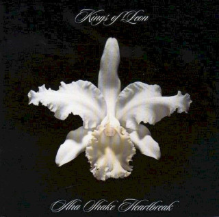 Kings Of Leon - Aha Shake Heartbreak - CD
