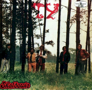 Skaldowie - Ty - LP / Vinyl