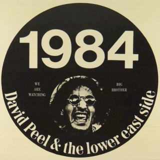 David Peel & The Lower East Side - 1984 - LP / Vinyl