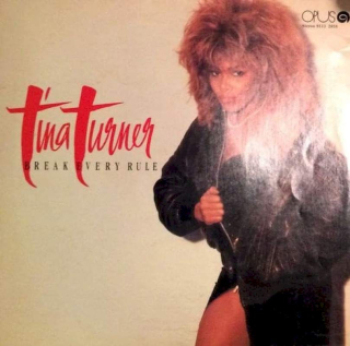 Tina Turner - Break Every Rule - LP / Vinyl