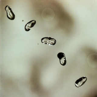 Peter Gabriel - Up - SACD