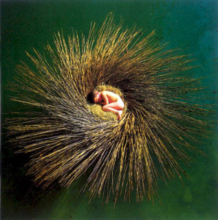 Peter Gabriel - OVO - CD