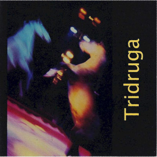 Yuri Lemeshev, Brad Shepik, Tony Scherr - Tridruga - CD