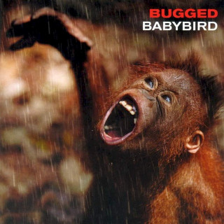 Babybird - Bugged - CD