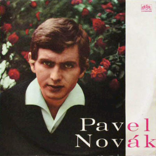 Pavel Novák - Pavel Novák - LP / Vinyl