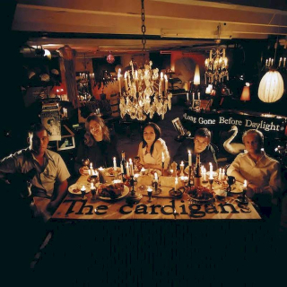 The Cardigans - Long Gone Before Daylight - LP / Vinyl